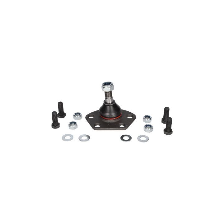 Šarnyras / girgždukas BIRTH CX1137