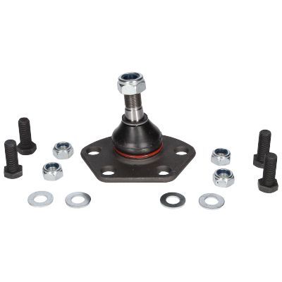 Šarnyras / girgždukas BIRTH CX1137