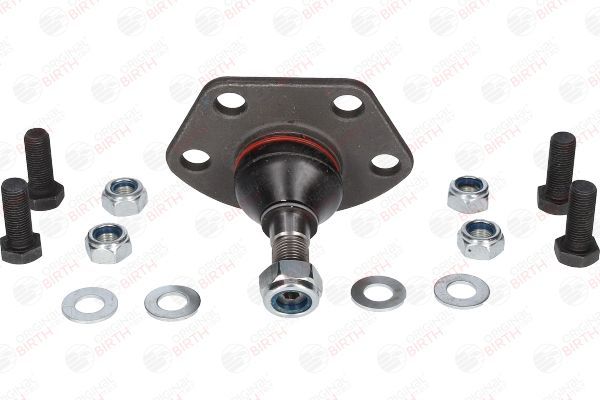 Šarnyras / girgždukas BIRTH CX1137