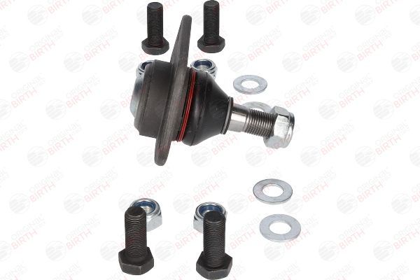 Šarnyras / girgždukas BIRTH CX1137