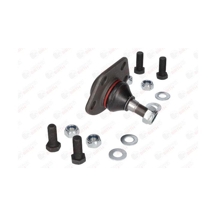 Šarnyras / girgždukas BIRTH CX1137