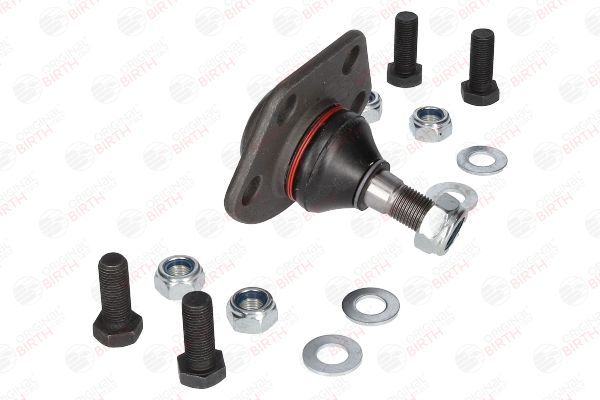 Šarnyras / girgždukas BIRTH CX1137