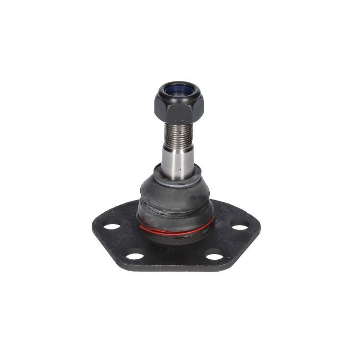 Šarnyras / girgždukas BIRTH CX1138