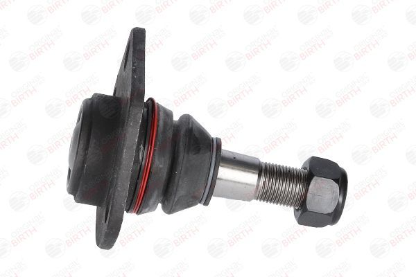 Šarnyras / girgždukas BIRTH CX1138