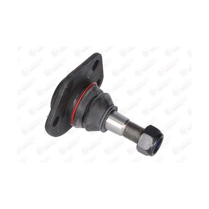 Šarnyras / girgždukas BIRTH CX1138