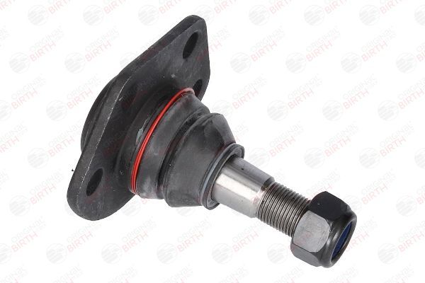 Šarnyras / girgždukas BIRTH CX1138