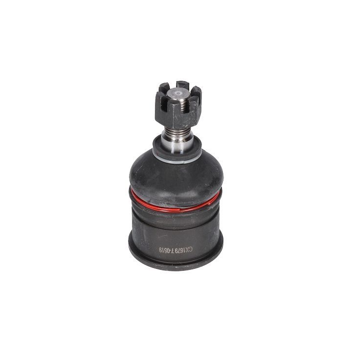 Šarnyras / girgždukas BIRTH CX1679