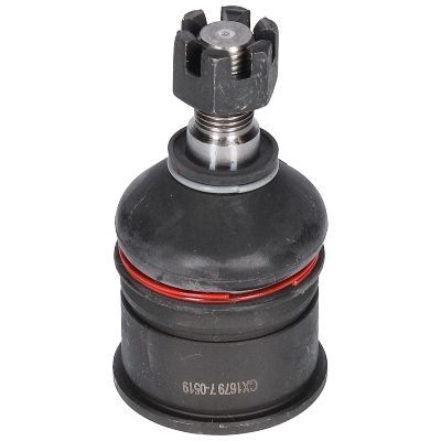 Šarnyras / girgždukas BIRTH CX1679