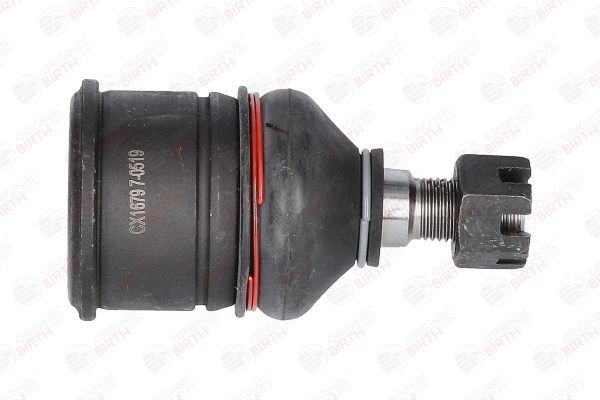 Šarnyras / girgždukas BIRTH CX1679