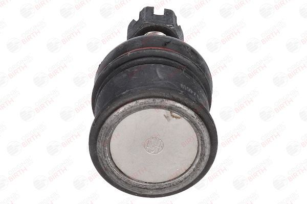 Šarnyras / girgždukas BIRTH CX1679