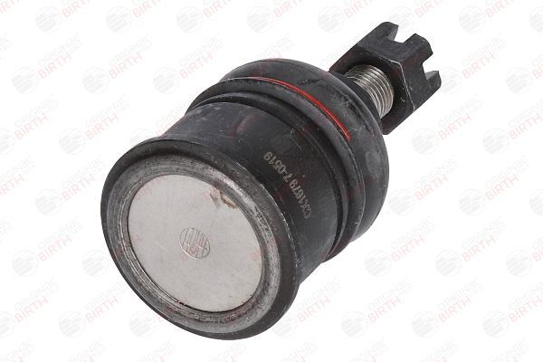 Šarnyras / girgždukas BIRTH CX1679