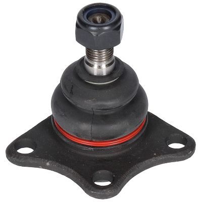 Šarnyras / girgždukas BIRTH CX2035