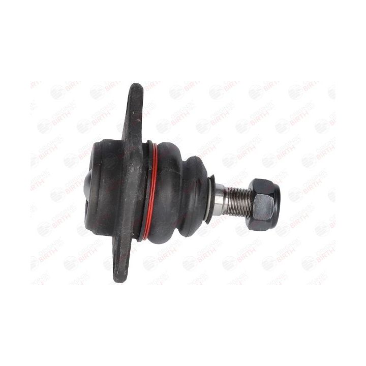 Šarnyras / girgždukas BIRTH CX2035