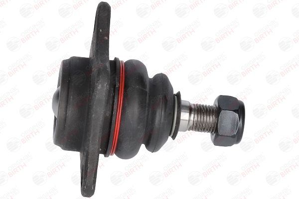 Šarnyras / girgždukas BIRTH CX2035