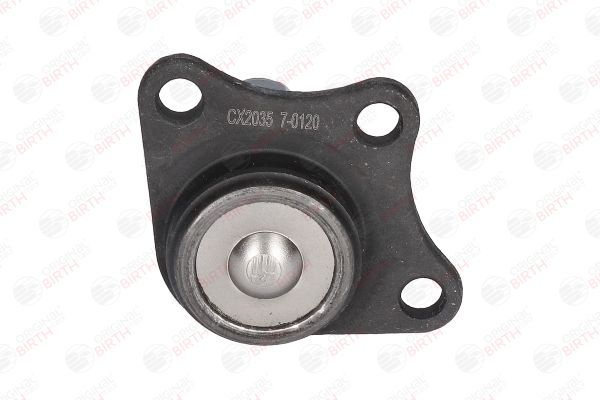 Šarnyras / girgždukas BIRTH CX2035