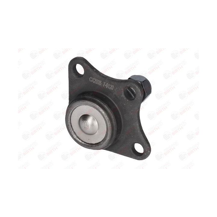 Šarnyras / girgždukas BIRTH CX2035