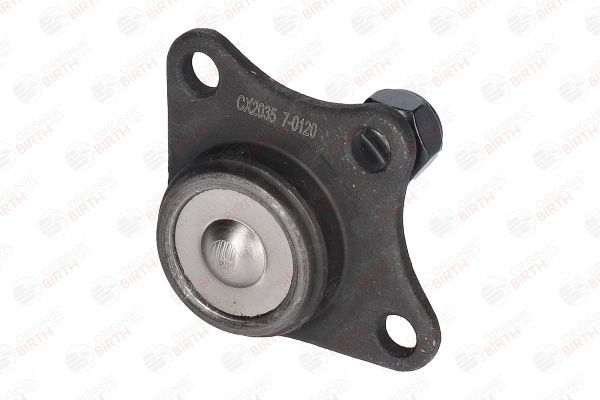 Šarnyras / girgždukas BIRTH CX2035