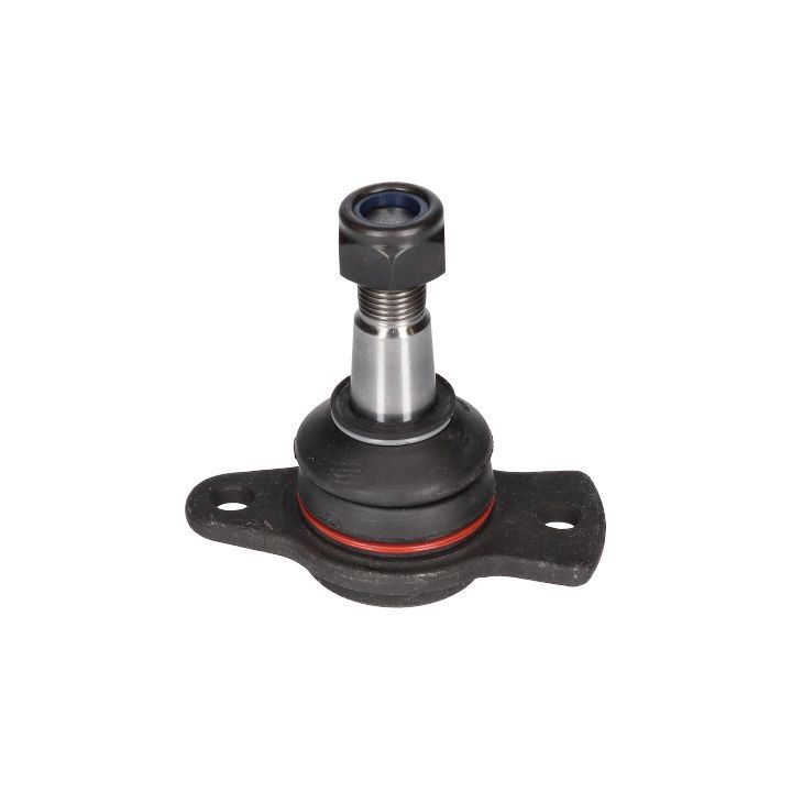 Šarnyras / girgždukas BIRTH CX2235