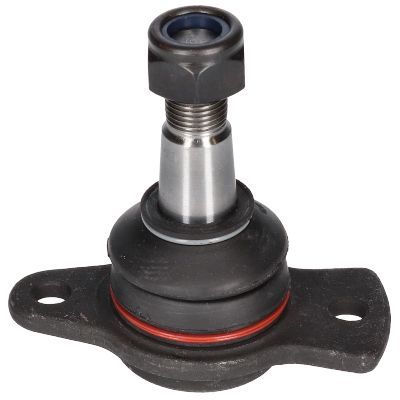 Šarnyras / girgždukas BIRTH CX2235