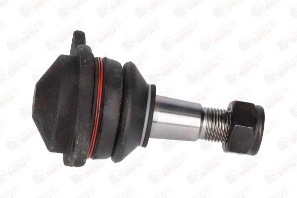 Šarnyras / girgždukas BIRTH CX2235