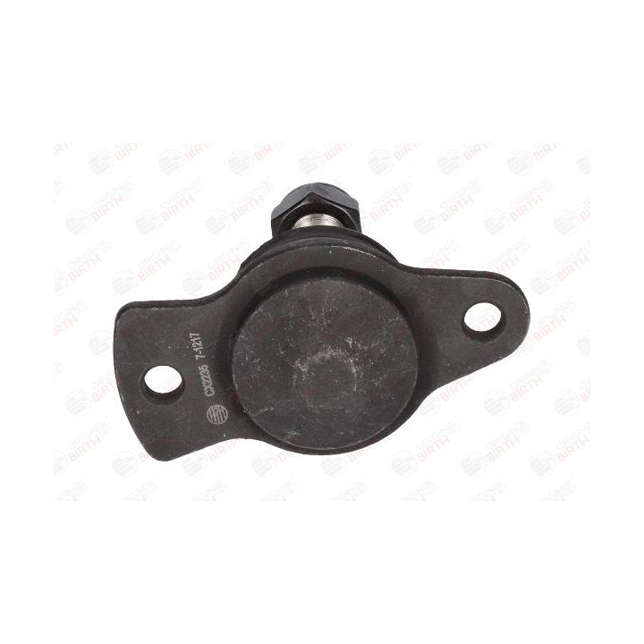 Šarnyras / girgždukas BIRTH CX2235