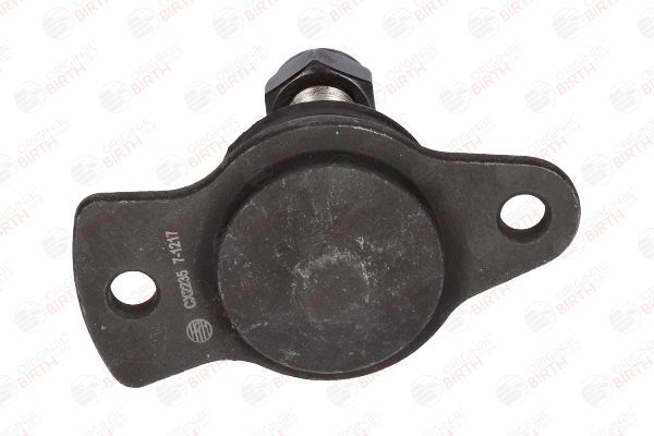 Šarnyras / girgždukas BIRTH CX2235