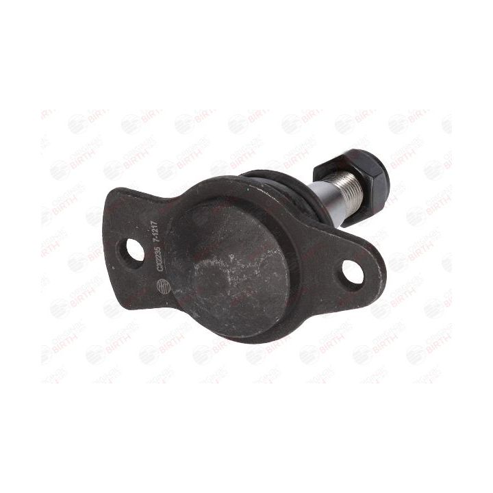 Šarnyras / girgždukas BIRTH CX2235