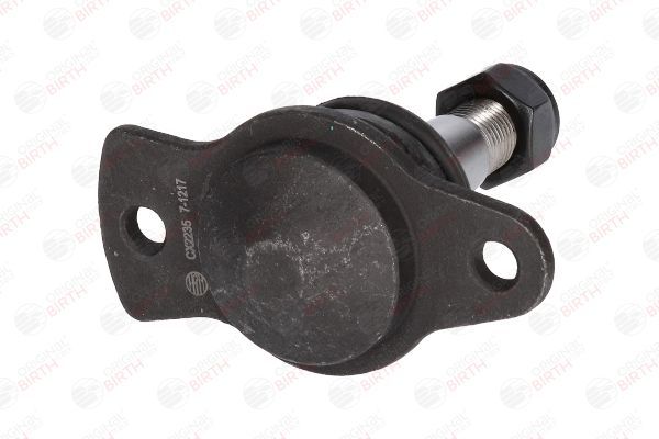 Šarnyras / girgždukas BIRTH CX2235