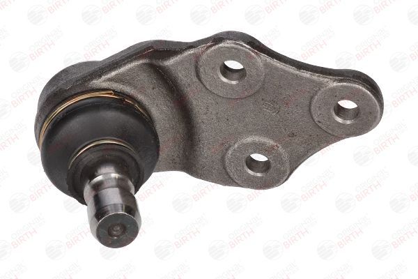 Šarnyras / girgždukas BIRTH CX2531