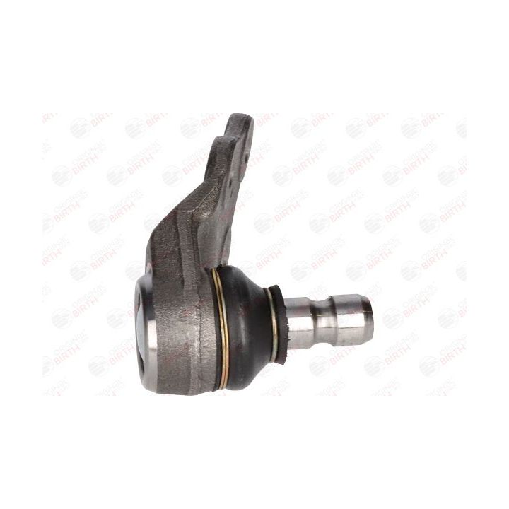 Šarnyras / girgždukas BIRTH CX2531