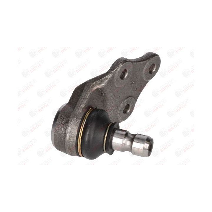 Šarnyras / girgždukas BIRTH CX2531