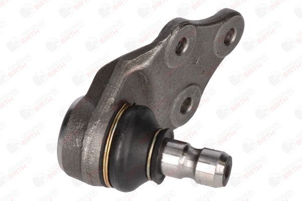 Šarnyras / girgždukas BIRTH CX2531