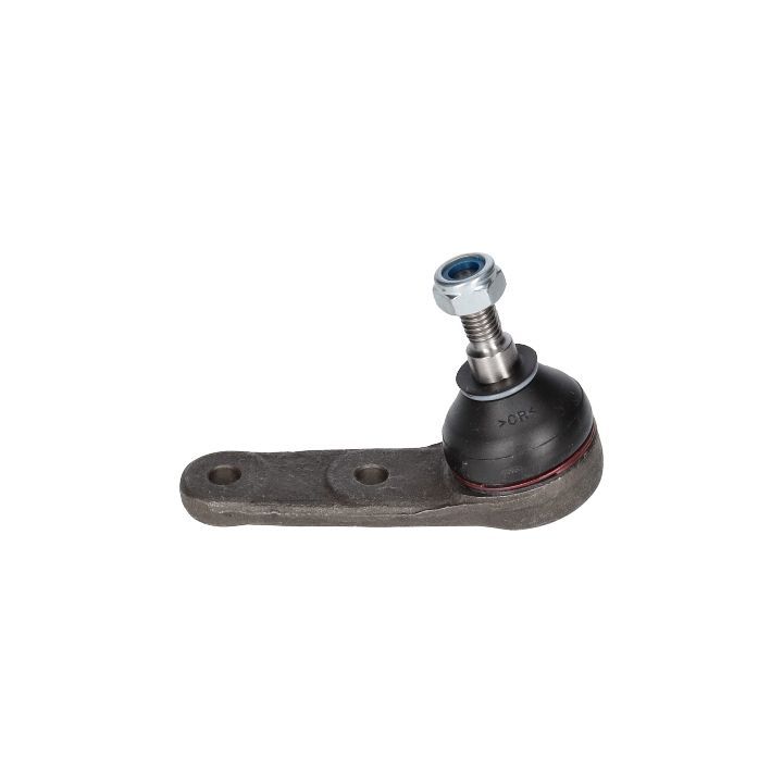 Šarnyras / girgždukas BIRTH CX2537