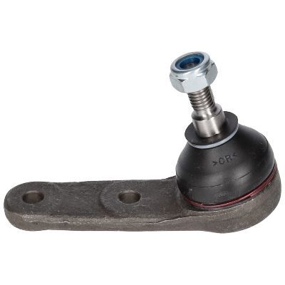 Šarnyras / girgždukas BIRTH CX2537