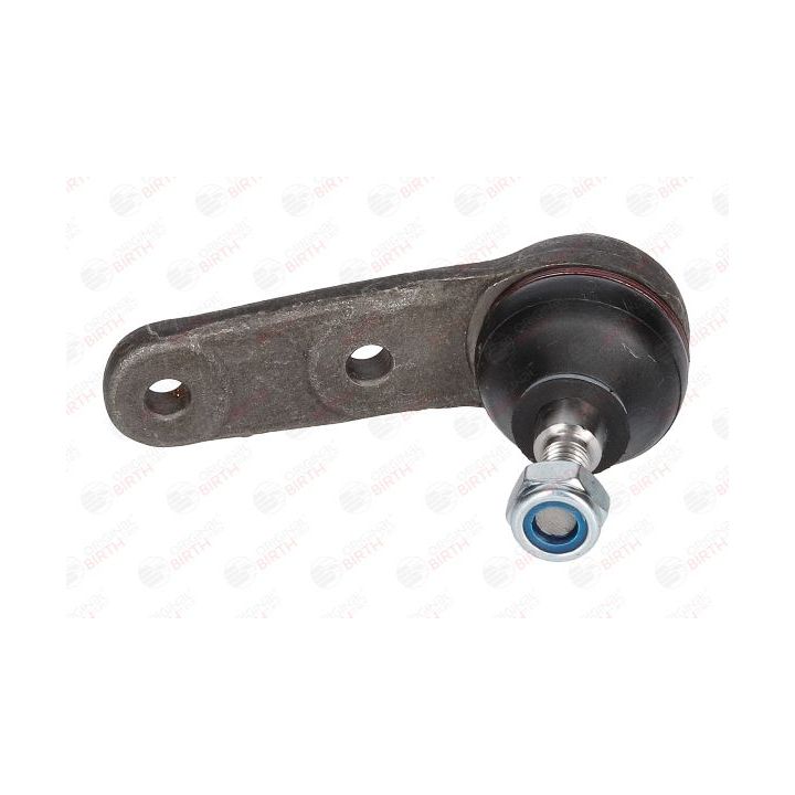 Šarnyras / girgždukas BIRTH CX2537