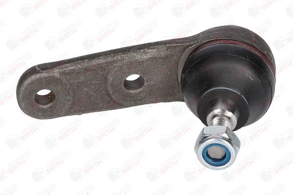 Šarnyras / girgždukas BIRTH CX2537