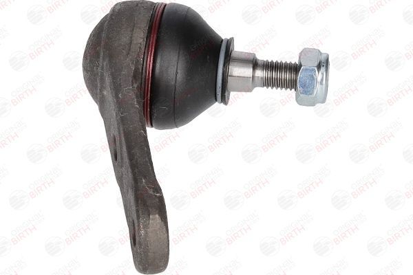 Šarnyras / girgždukas BIRTH CX2537