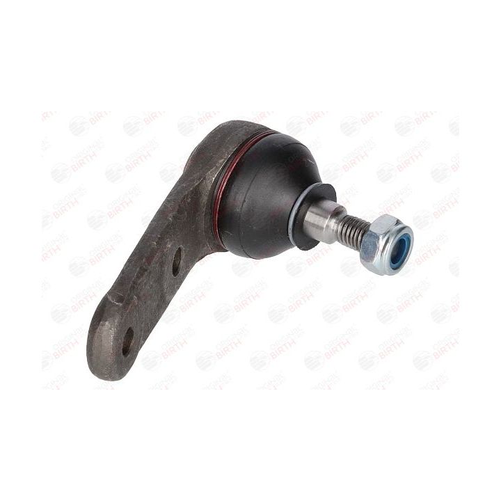 Šarnyras / girgždukas BIRTH CX2537