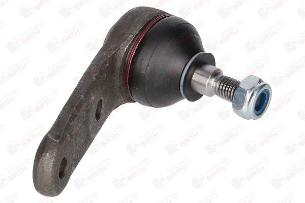 Šarnyras / girgždukas BIRTH CX2537