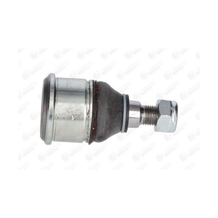 Šarnyras / girgždukas BIRTH CX2539