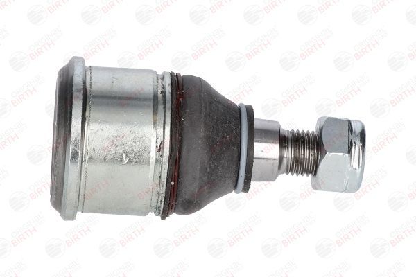 Šarnyras / girgždukas BIRTH CX2539