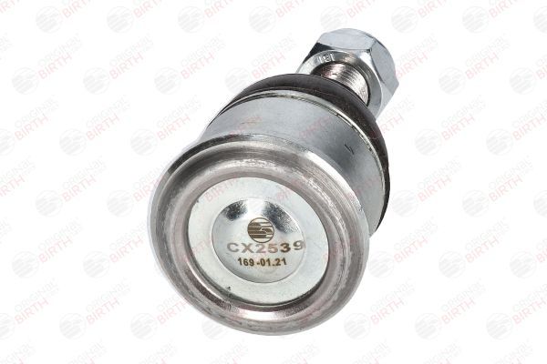 Šarnyras / girgždukas BIRTH CX2539