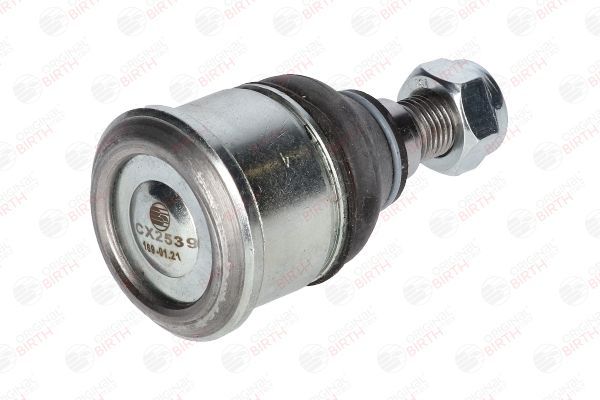 Šarnyras / girgždukas BIRTH CX2539