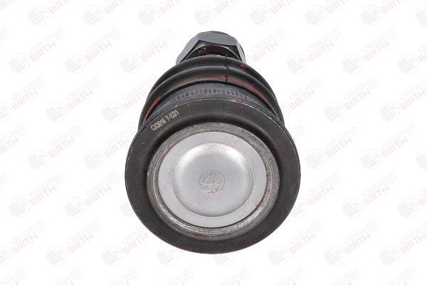 Šarnyras / girgždukas BIRTH CX3016