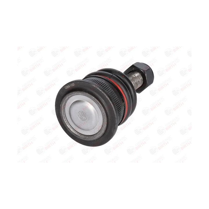 Šarnyras / girgždukas BIRTH CX3016