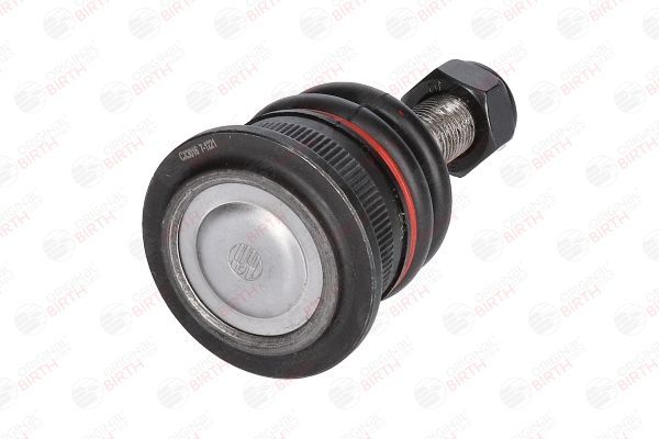 Šarnyras / girgždukas BIRTH CX3016