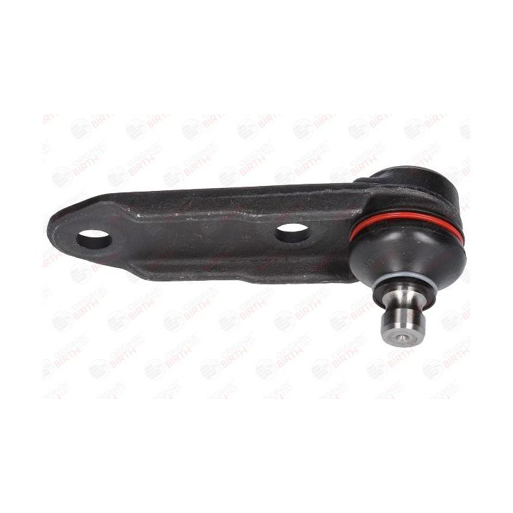 Šarnyras / girgždukas BIRTH CX3208