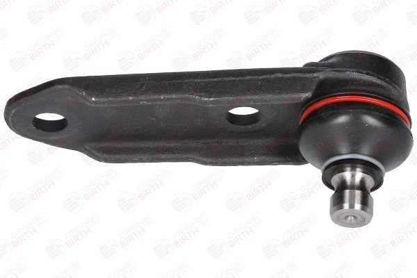 Šarnyras / girgždukas BIRTH CX3208