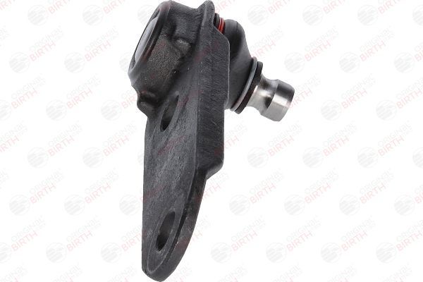 Šarnyras / girgždukas BIRTH CX3208