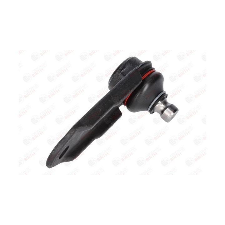 Šarnyras / girgždukas BIRTH CX3208